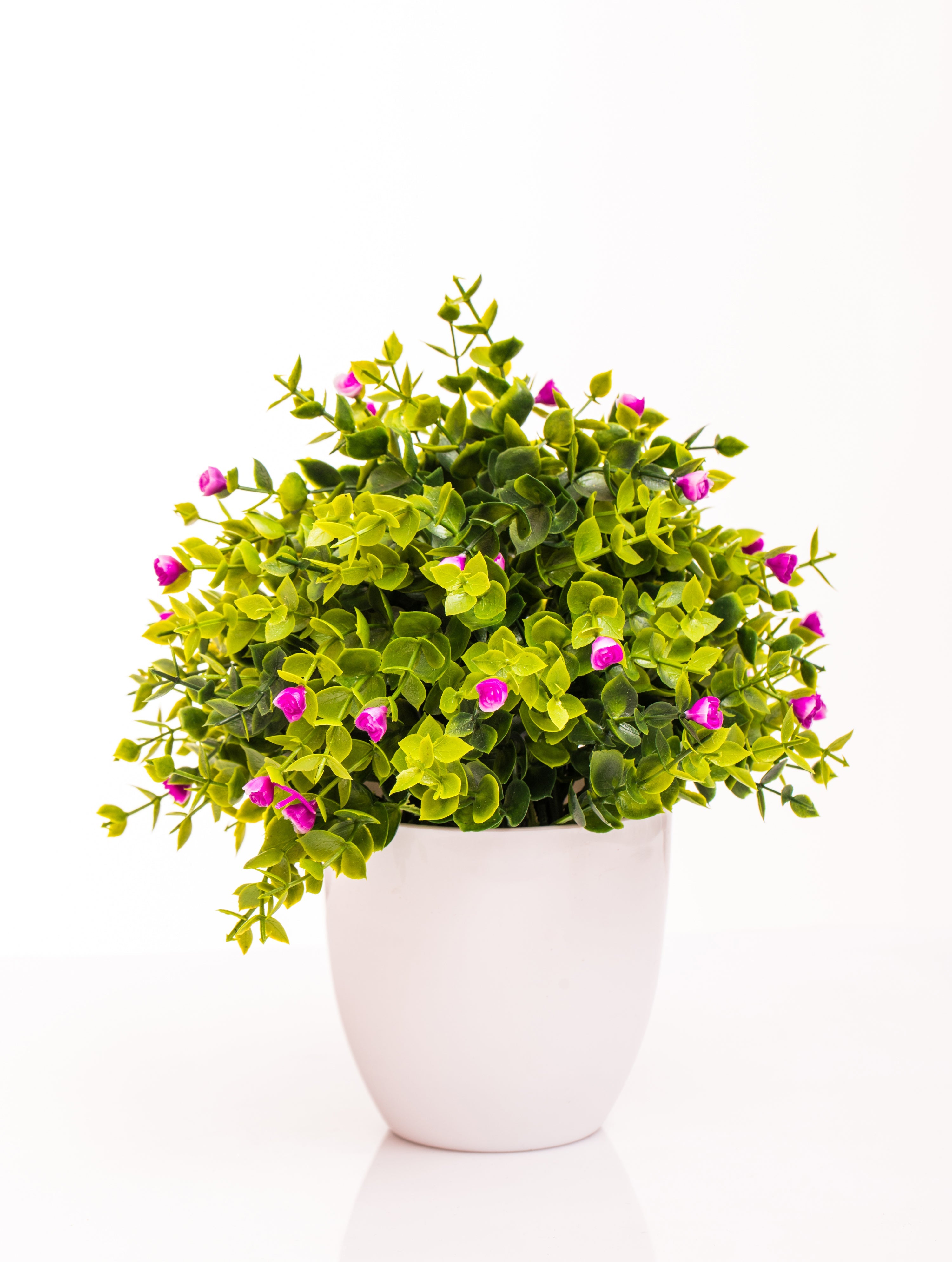 צמחים מלאכותיים