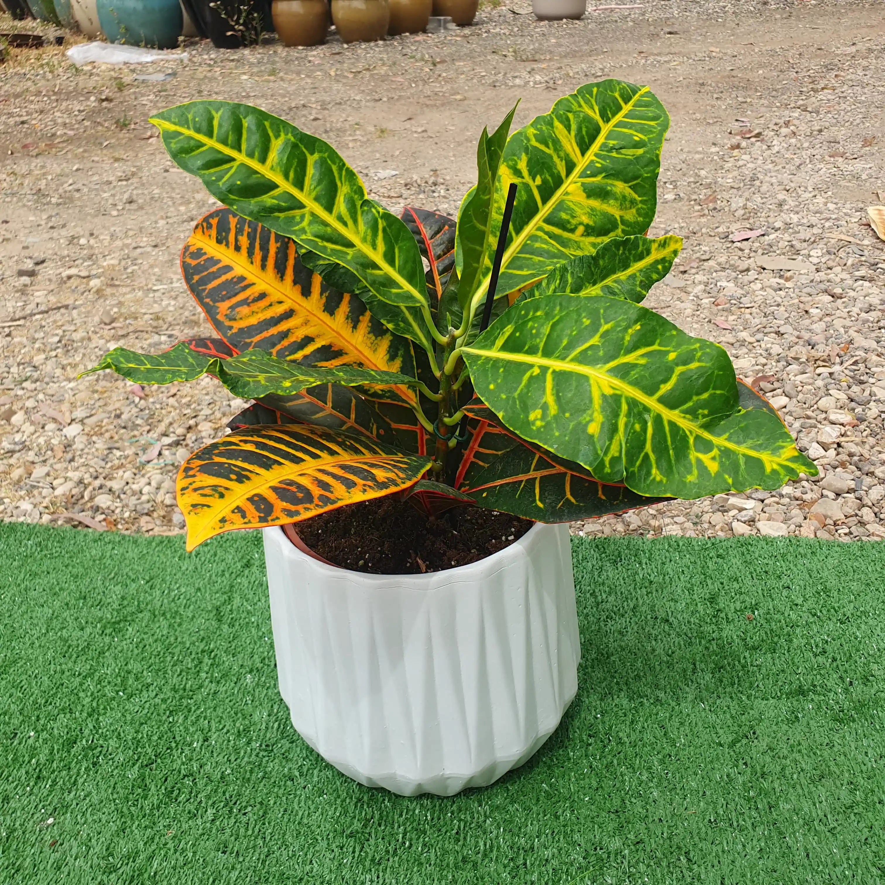 כד קרמיקה יהלום 💎