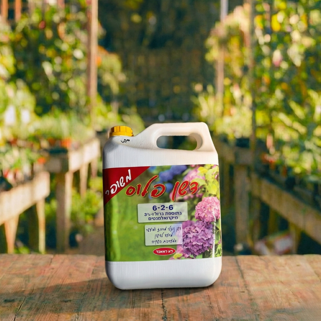 דשן פלוס נוזלי 6-2-6