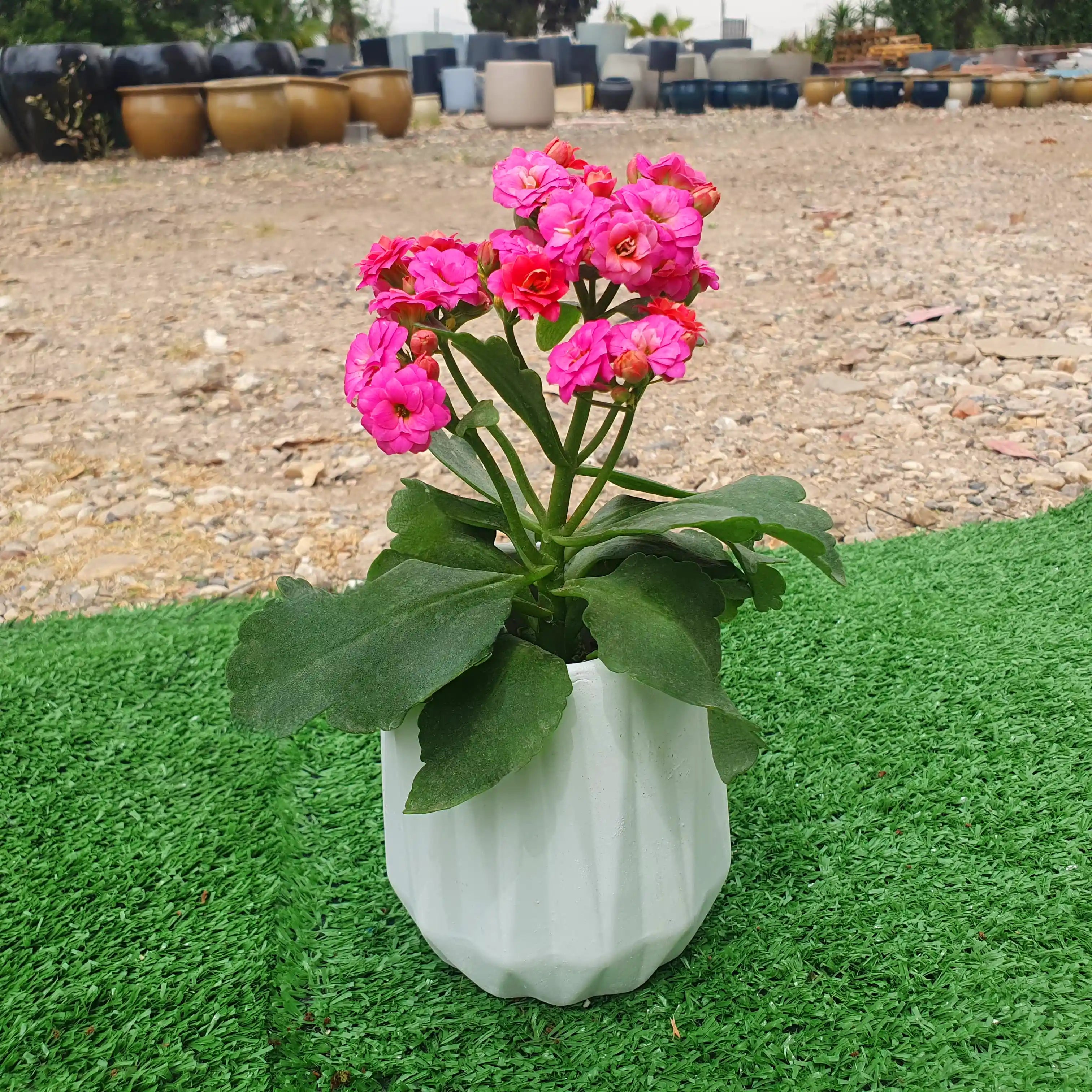 כד קרמיקה יהלום 💎