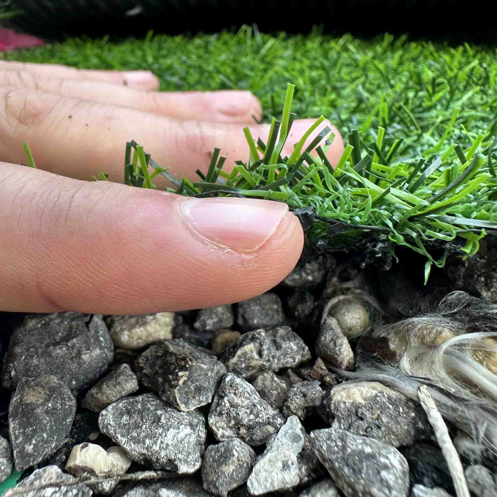 דשא סינטטי ליה עוד תמונה