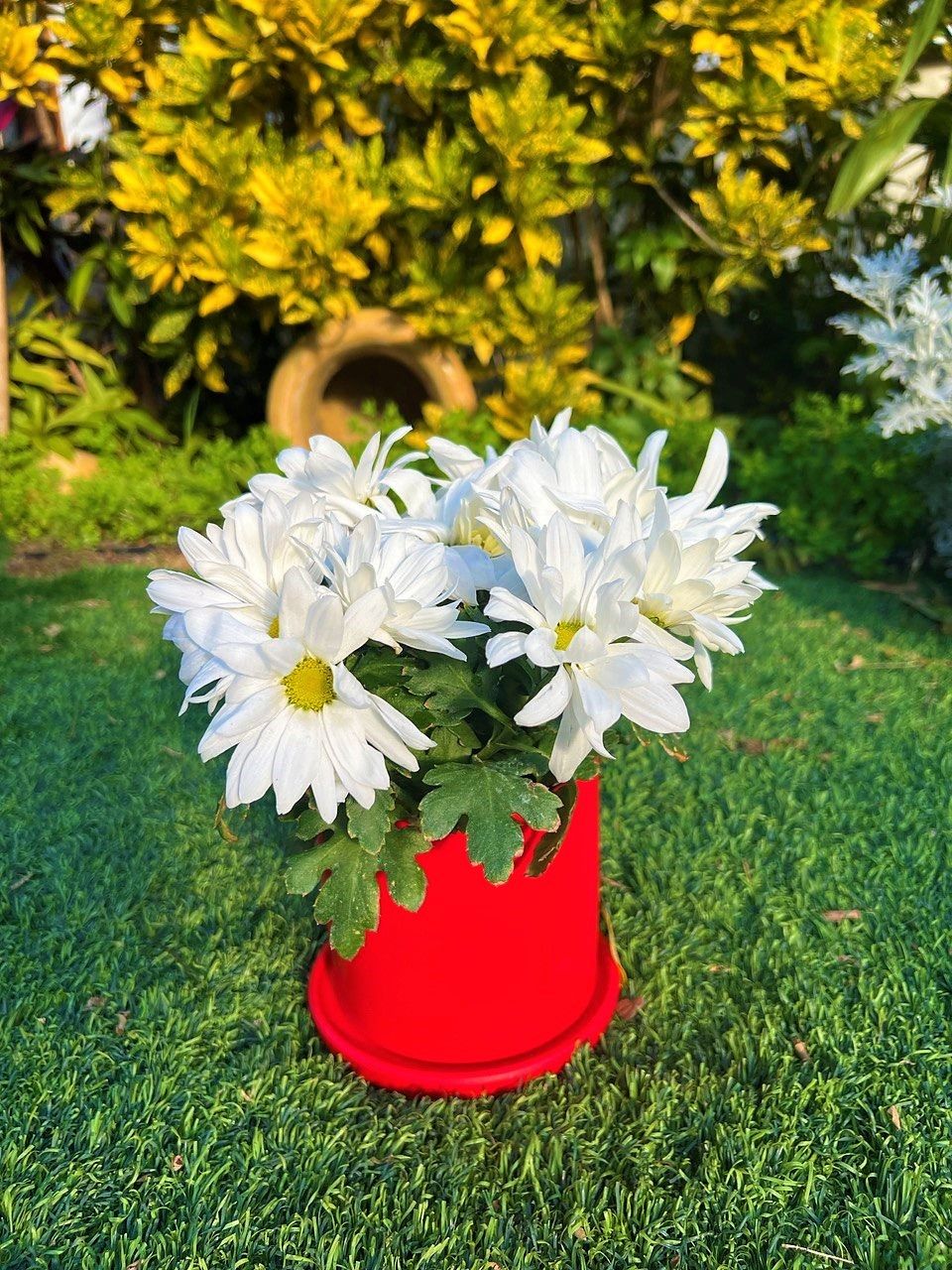 כד צילינדר אדום עם תמונת משנה