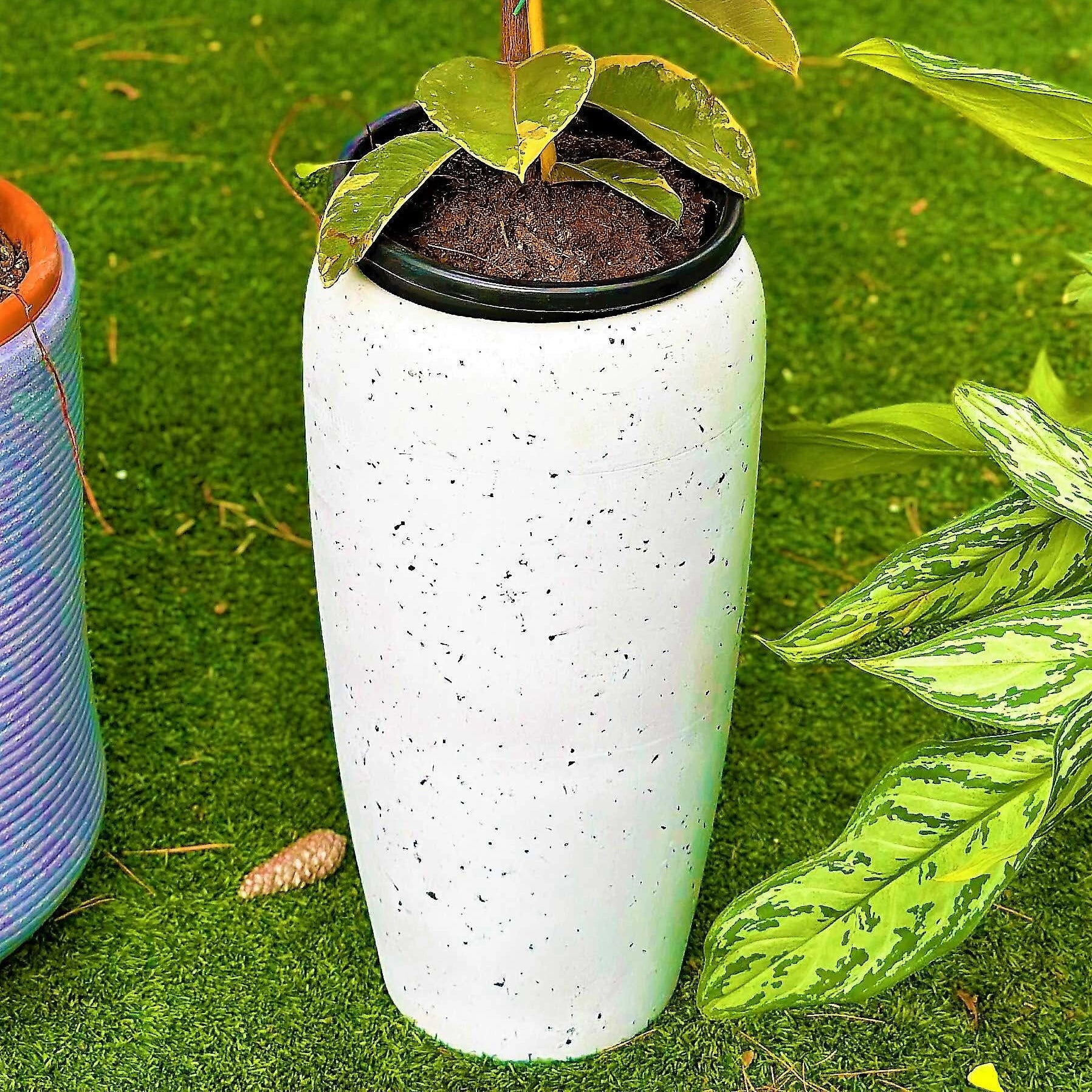 כד גלקסיה לבן 2