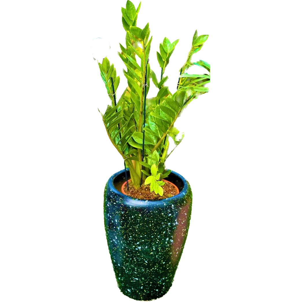 כד גלקסיה שחור