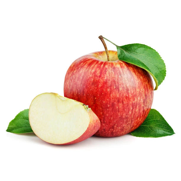 עץ תפוח