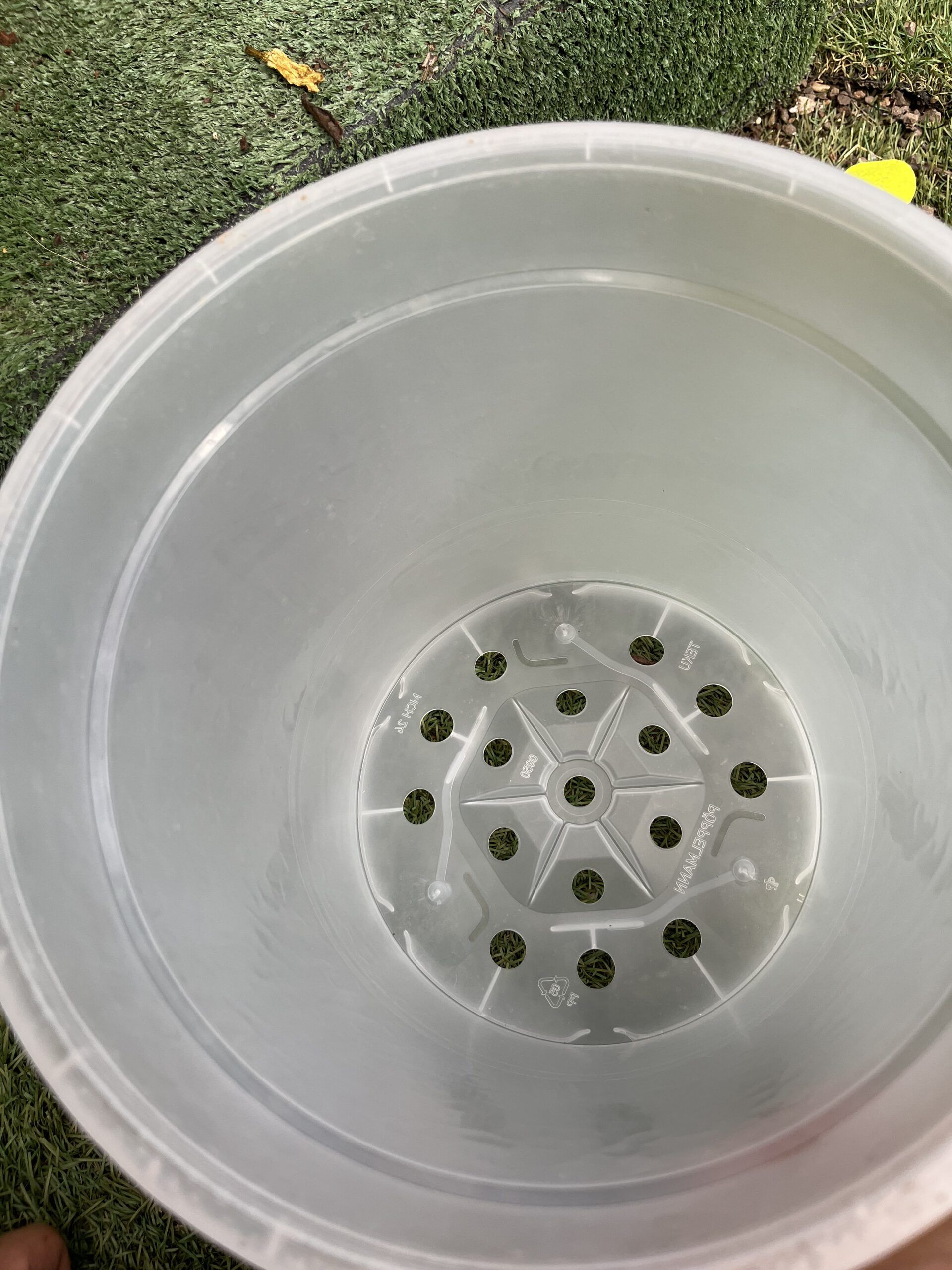 עציץ לגידול סחלבים