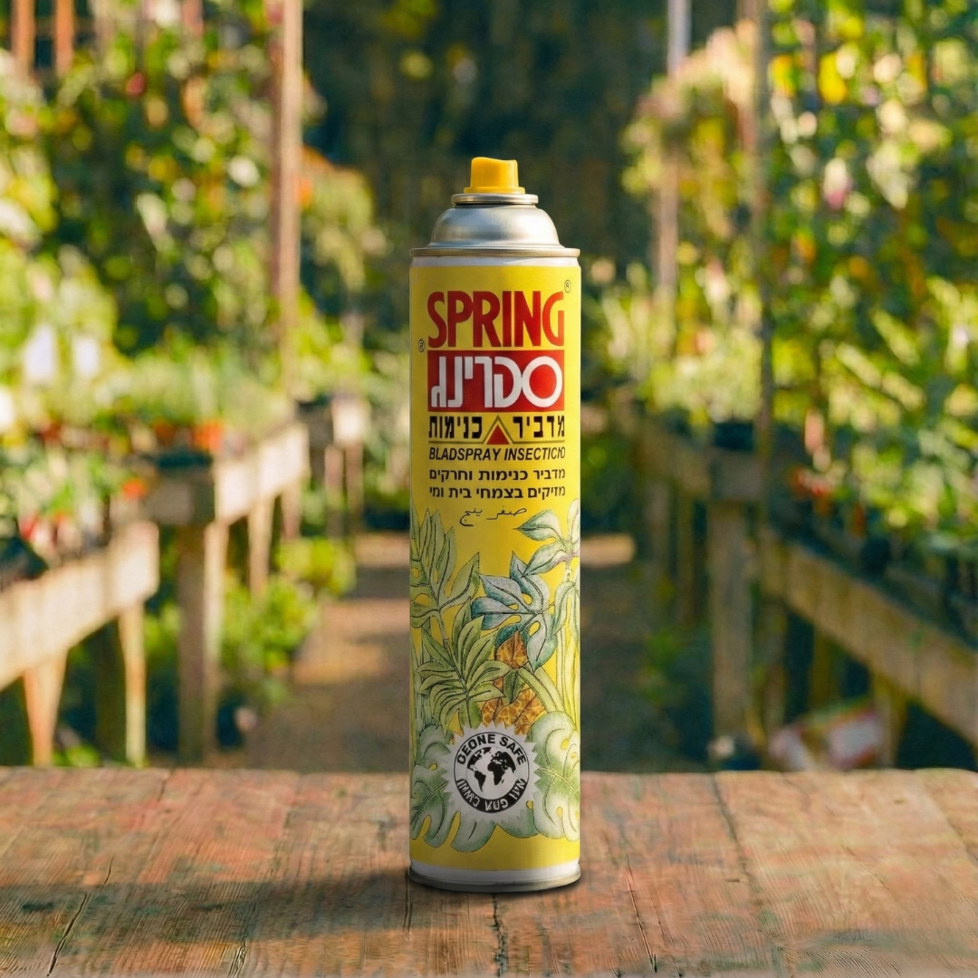 ספרינג מדביר כנימות