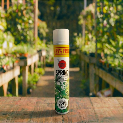 ספרינג מבריק עלים