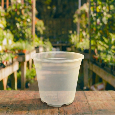 עציץ לגידול סחלבים 15x13