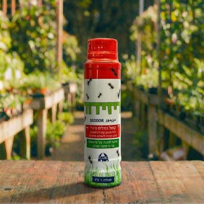 דיזידור קוטל גרגרי