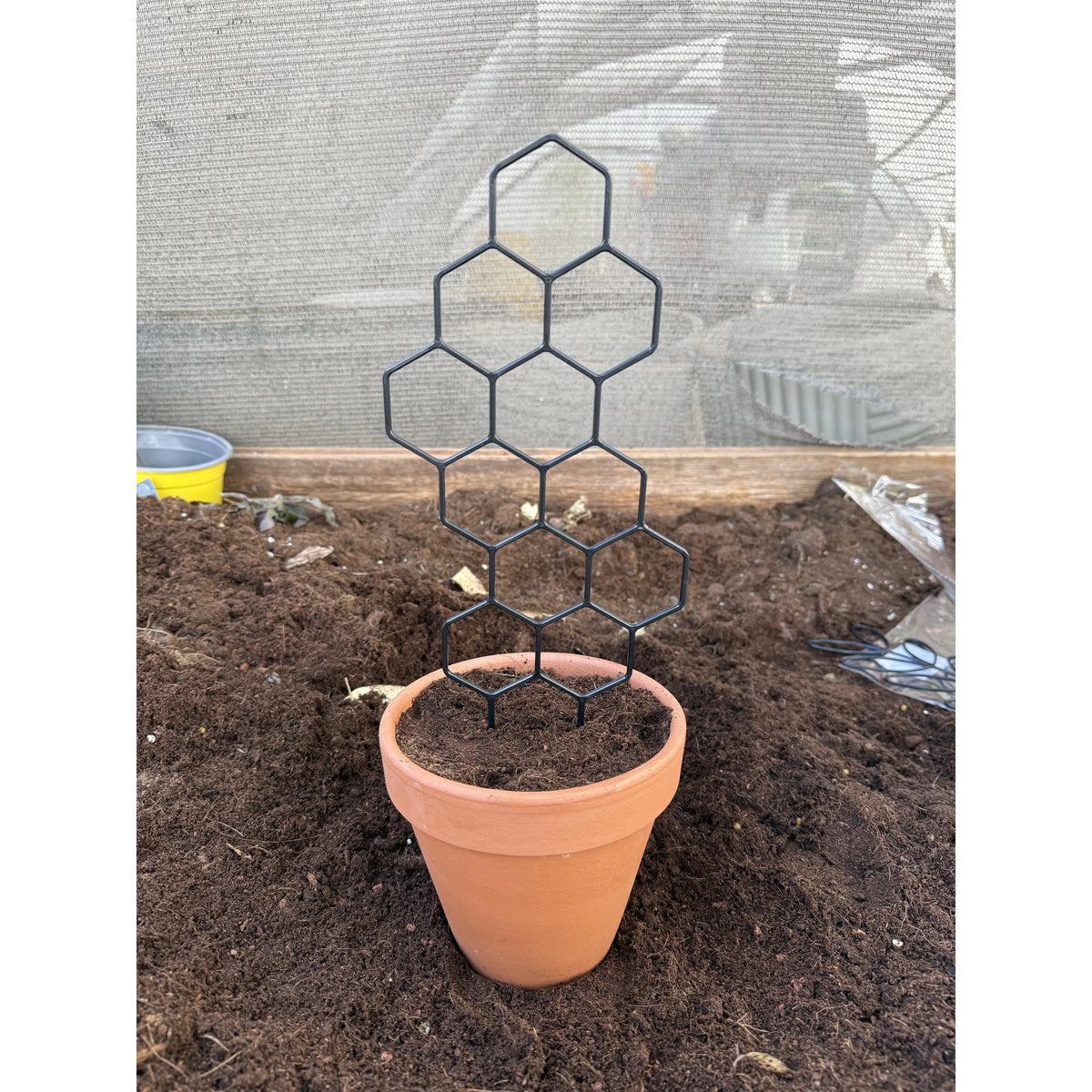 גדר פלסטיק שחורה למטפסים בדוגמת כוורת, נעוצה בעציץ